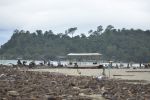Beach Clean Up 20 September
