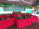 Chantaburi Fruit Festival