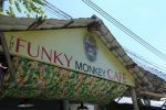 Funky Monkey