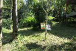Walk in front of the bungalows
