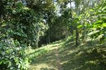 Trail past the bungalows