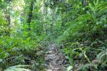 Narrow but easy to follow