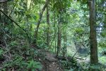 Trail near the waterfall