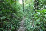 On the trail
