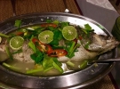 Fish at Kati Culinary