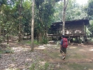 Khao Jom Jungle Trek