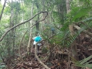 Khao Jom Jungle Trek
