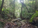 Khao Jom Jungle Trek