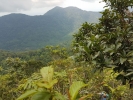 Khao Jom Jungle Trek
