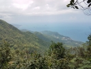 Khao Jom Jungle Trek