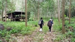 Easy walking at first