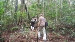 Trekking