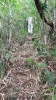 Getting steeper near the top