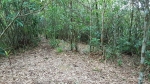 Campground near the top