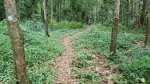 Near the end