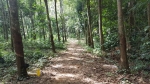 Khiri Phet waterfall, Koh Chang