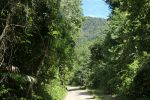 Road behind the beach
