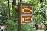 This way to waterfall
