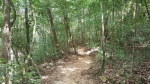 Klong Plu waterfall