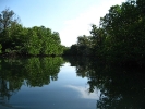 koh-chang-river-kayak03