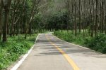Rad into Klong Son valley