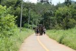 Baan Kwan Chang Elephant camp