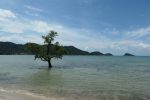 Siam Royal View