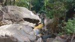 Klong Neung waterfall