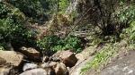 Klong Neung waterfall