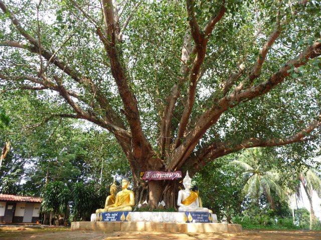 Koh Mak temple
