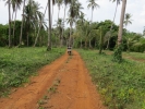 Around Koh Mak