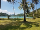 Enjoy the views from under the palm trees
