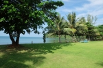 seafront garden area