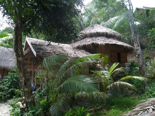 Treehouse bungalow
