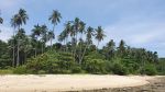 Walking to Koh Man Nai 2020