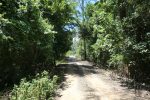 North Klong Prao -075