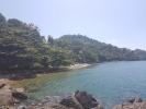 Looking south along Pearl beach