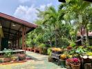 Pop Riverside Homestay