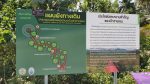 Salakphet Mangrove Walkway - The Red Bridge