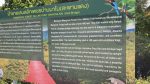 Salakphet Mangrove Walkway - The Red Bridge