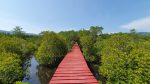 Salakphet Mangrove Walkway - The Red Bridge
