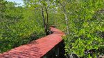 Salakphet Mangrove Walkway - The Red Bridge