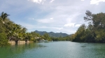 Towards the mangroves