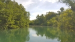 Nothing but green