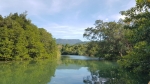 Nothing but green