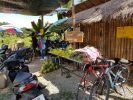 Coconut Organic Garden