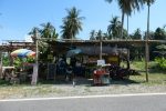 Coconut Organic Garden