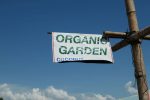 Coconut Organic Garden