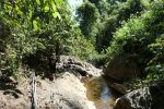 Walking to Klong Neung waterfall
