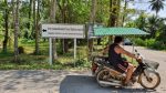 Turning to the Mangrove Walkway